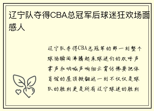 辽宁队夺得CBA总冠军后球迷狂欢场面感人